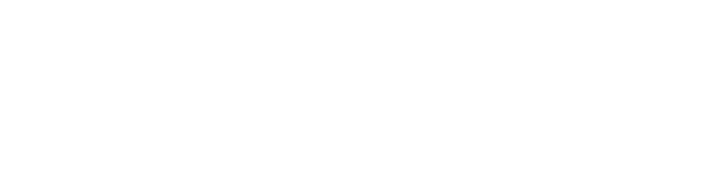 Zestawienie marek odzieżowych Stedman dostępnych w ofercie MDM Nadruk.